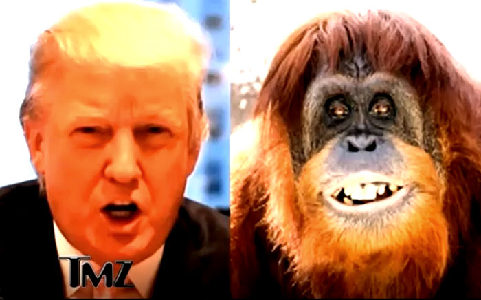 Five years ago the media laughed at Trump's father being a monkey.  You've been had again, America! 
