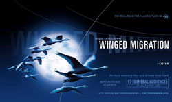 If you love flying with birds, you'll love this new movie from Sony.  (Note.  Broadband is recommend to view the trailer.)