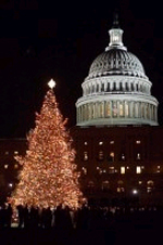 1997 marked the eighth time a North Carolina Fraser Fir was chosen as the official White House Christmas tree. 
