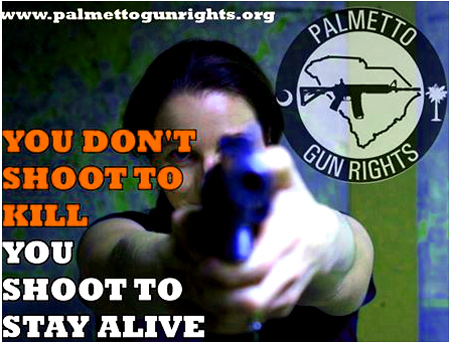 "We do not endorse, support, or oppose any candidate for political office.  We do not call for the election or defeat of any candidate for political office.  Palmetto Gun Rights seeks to inform gun owners, voters, and liberty activists in South Carolina on their candidates’ positions on firearms issues.  The goal is to hold politicians accountable and achieve maximum liberty for an individual to defend himself, his family, and his property without having to ask government for permission to do so." - Palmettogunrights.org  