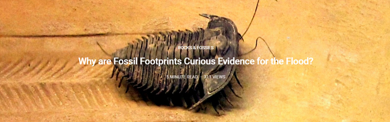 Watch video short on why the footprints of a living thing can be as important as itself when studying catastrophic events. 