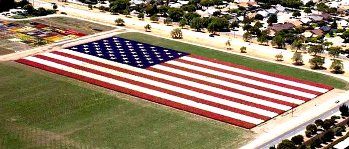 Between the fields where the flag is planted, there are 9+ miles of flower fields that go all the way to the ocean. The flowers are grown by seed companies. It's a beautiful place, close to Vandenberg AFB.  