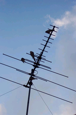 These VHF-UHF (Very-high frequency, Ultra-high frequency) home outside antennas were designed to receive television broadcast signals out of the air that are  transmitted  from a central transmitting tower,